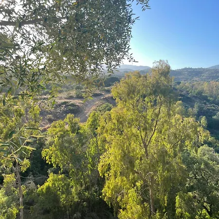 En Elviria, マルベーリャ